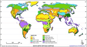 Dünya Bitki Örtüsü Haritası 2