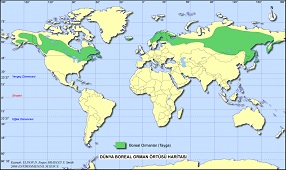 Dünya Boreal Ormanlar Haritası