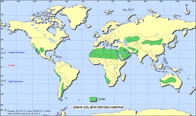 Dünya Çöl Bitki Örtüsü Haritası