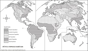 Dünya Toprak Haritası 2