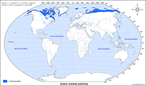Dünya Tundra Toprakları Haritası