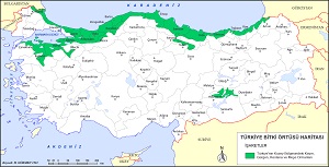 Türkiye Geniş Yapraklı Orman Haritası