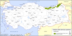 Türkiye Lâdin Ormanları Haritası