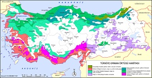 Türkiye Orman Bitki Örtüsü Haritası