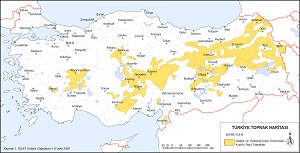 Türkiye Litosol Topraklar Haritası