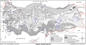 Türkiye Toprak Haritası (Tek Renk)