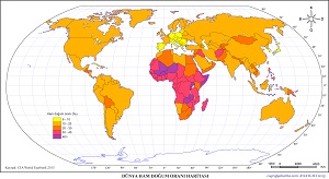 Dünya Ham Doğum Oranı Haritası 2015