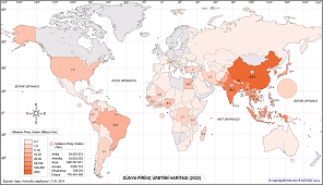 Dünya Pirinç Haritası