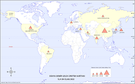 Dünya Demir Çelik Üretim Haritası