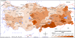 Türkiye Bebek Ölüm Hızı Haritası 2023