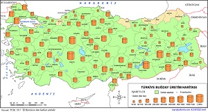 Türkiye Buğday Üretim Haritası 2017