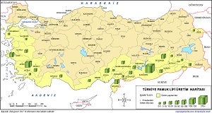 Türkiye Pamuk Üretim Haritası 2017