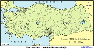 Türkiye Mısır Üretim Haritası
