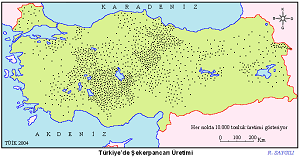 Türkiye Ş. Pancarı Üretim Haritası