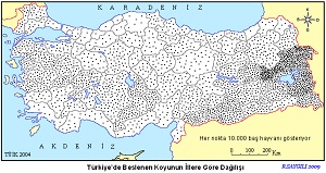 Türkiye'de Beslenen Koyunun Dağılış Haritası